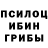 ТГК гашишное масло KD Regalado