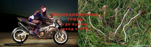 мефедрон мука Ельня