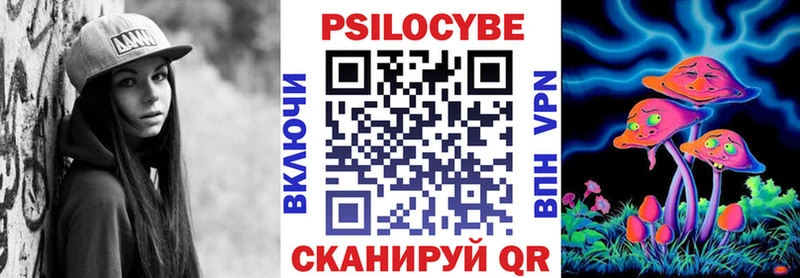где купить наркотик  Каменногорск  Псилоцибиновые грибы Magic Shrooms 